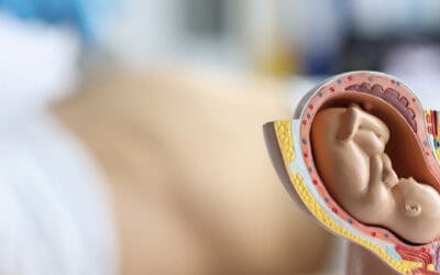 Schwangerschaft und Geburt